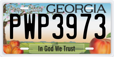 GA license plate PWP3973