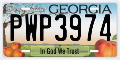 GA license plate PWP3974