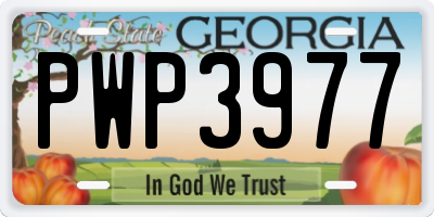 GA license plate PWP3977