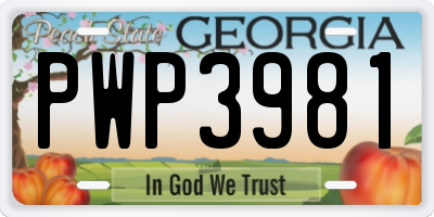 GA license plate PWP3981