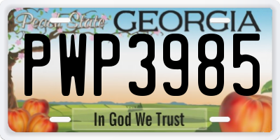 GA license plate PWP3985