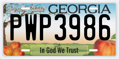 GA license plate PWP3986