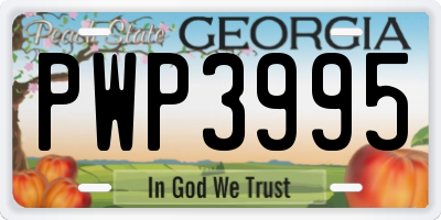 GA license plate PWP3995