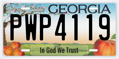 GA license plate PWP4119