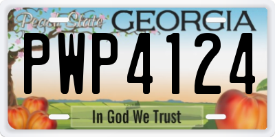 GA license plate PWP4124