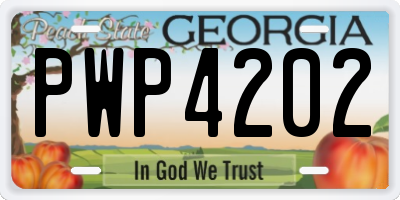 GA license plate PWP4202