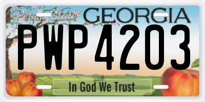 GA license plate PWP4203