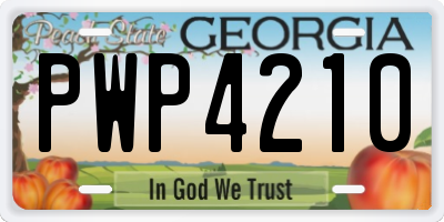 GA license plate PWP4210