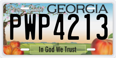 GA license plate PWP4213