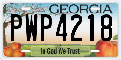 GA license plate PWP4218