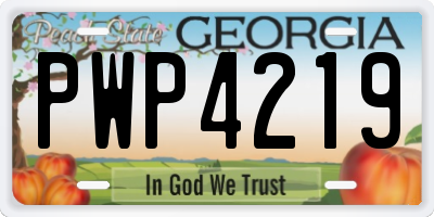 GA license plate PWP4219
