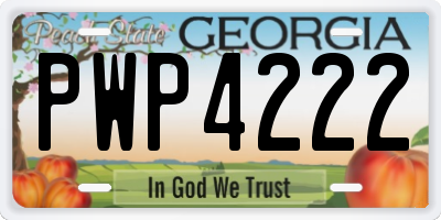 GA license plate PWP4222