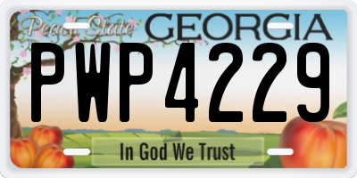 GA license plate PWP4229