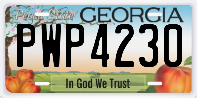 GA license plate PWP4230