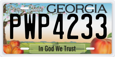 GA license plate PWP4233