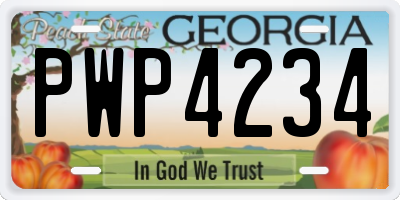GA license plate PWP4234