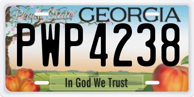GA license plate PWP4238