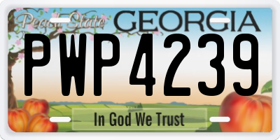 GA license plate PWP4239