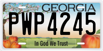 GA license plate PWP4245