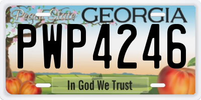 GA license plate PWP4246