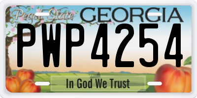 GA license plate PWP4254