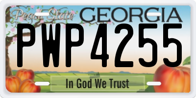 GA license plate PWP4255