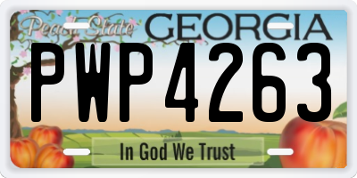 GA license plate PWP4263