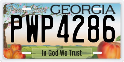 GA license plate PWP4286