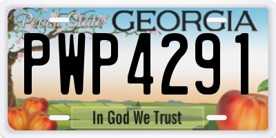 GA license plate PWP4291