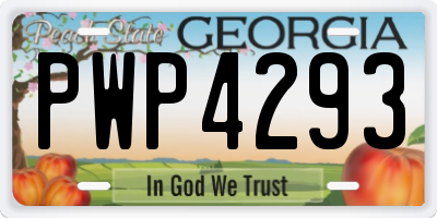 GA license plate PWP4293