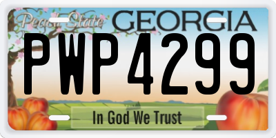 GA license plate PWP4299