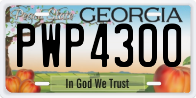 GA license plate PWP4300
