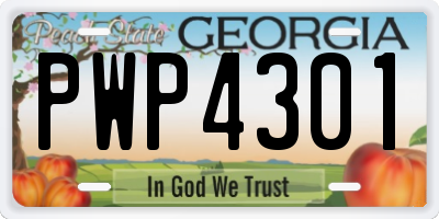 GA license plate PWP4301