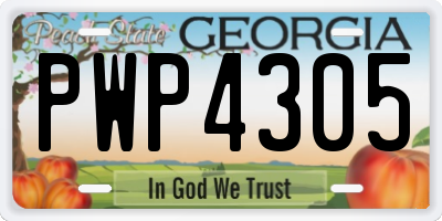 GA license plate PWP4305