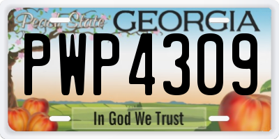 GA license plate PWP4309