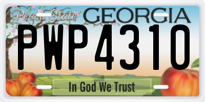 GA license plate PWP4310