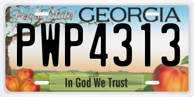 GA license plate PWP4313