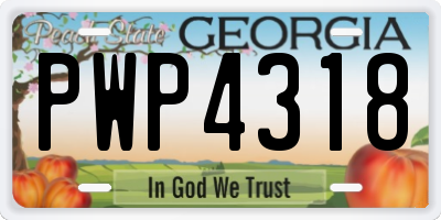 GA license plate PWP4318