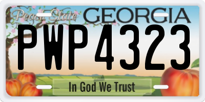 GA license plate PWP4323