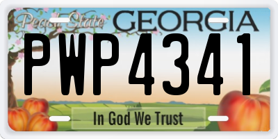 GA license plate PWP4341