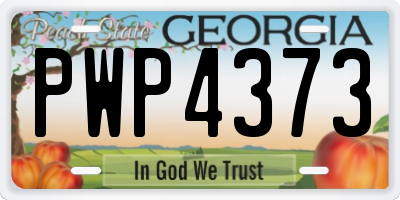 GA license plate PWP4373