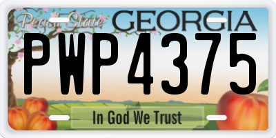 GA license plate PWP4375