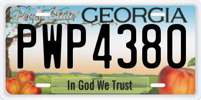 GA license plate PWP4380