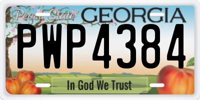 GA license plate PWP4384