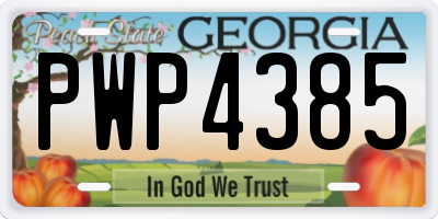 GA license plate PWP4385