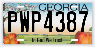 GA license plate PWP4387