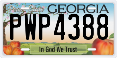 GA license plate PWP4388