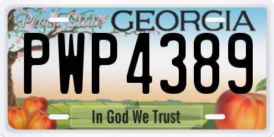 GA license plate PWP4389