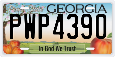 GA license plate PWP4390