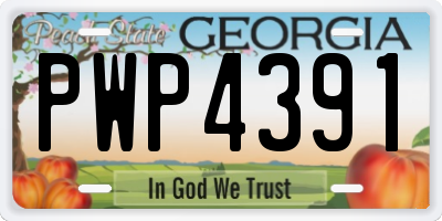 GA license plate PWP4391